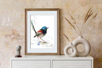 Fairy Wren Bird