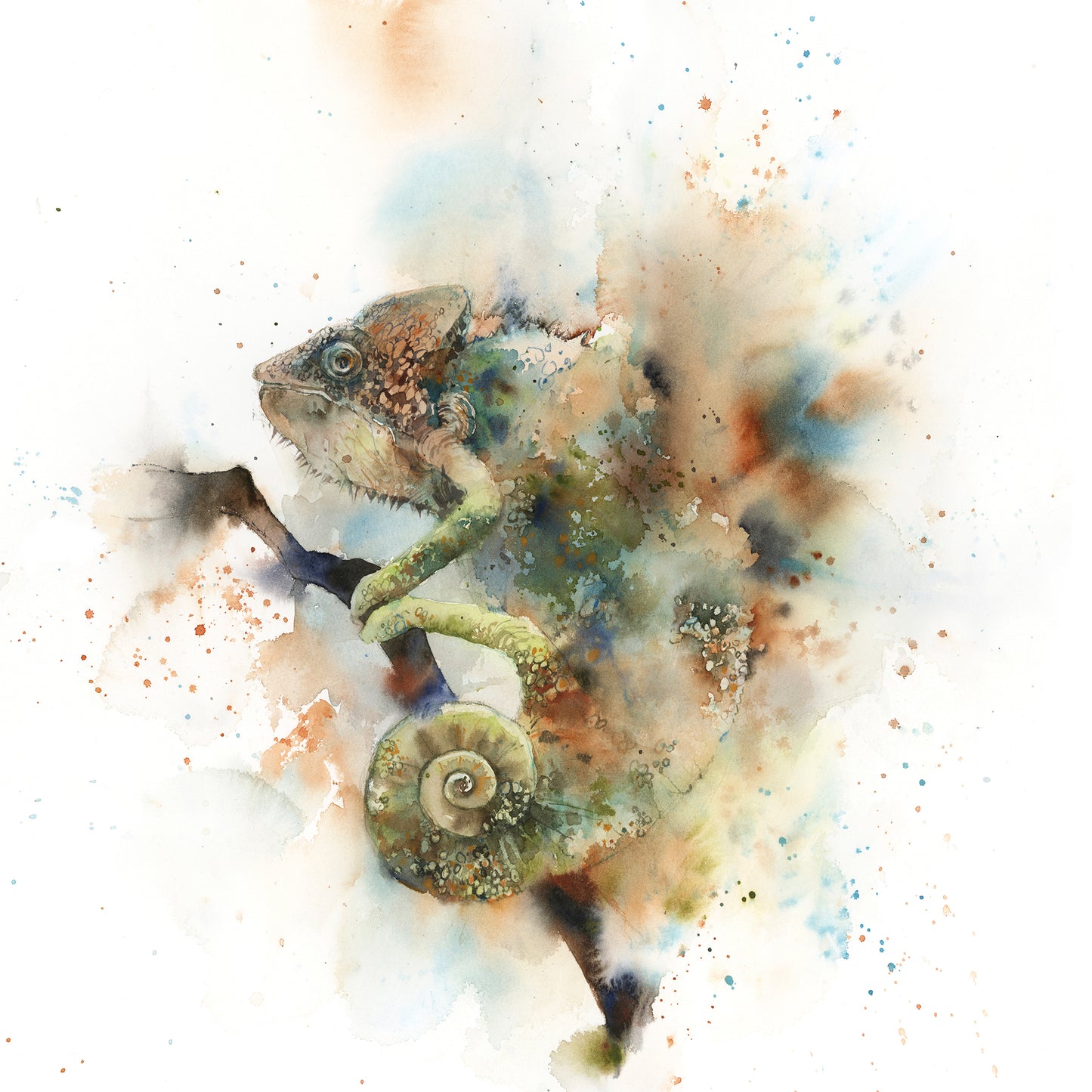 Chameleon Fine Art Print