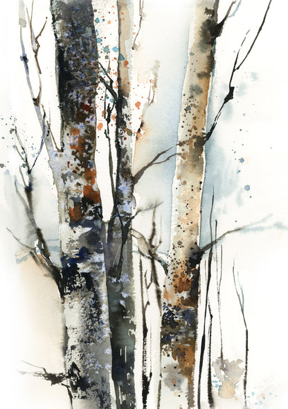 Birch Trees Forest 3 Fine Art Prints Set