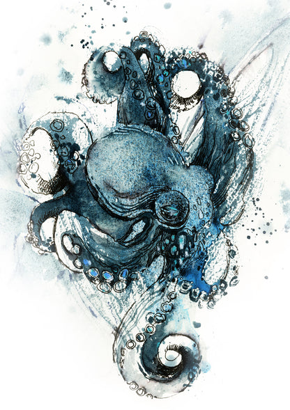 Octopus Fine Art Print