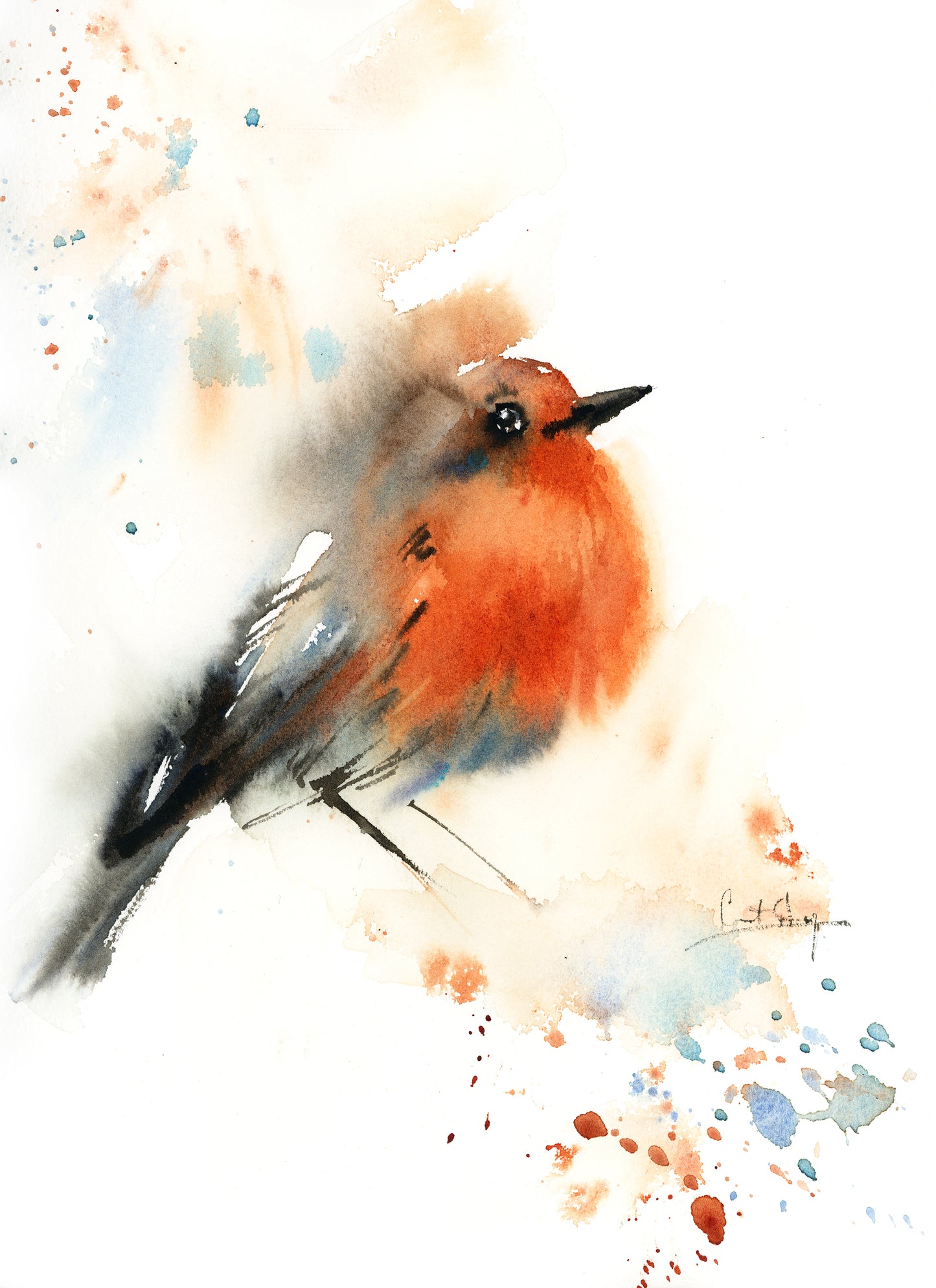 Robin Bird