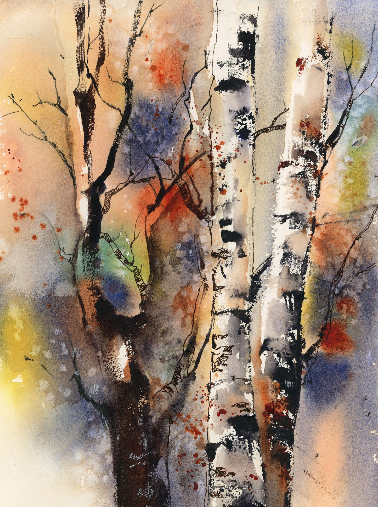 Birch Trees