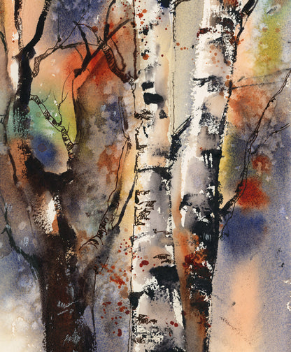 Birch Trees