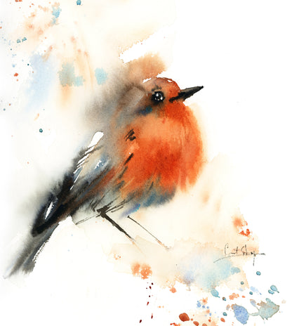 Robin Bird