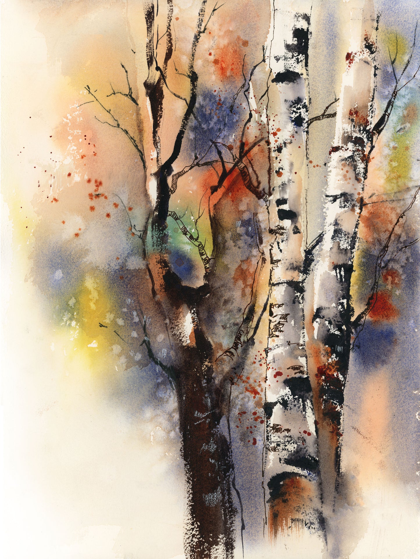 Birch Trees