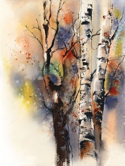 Birch Trees