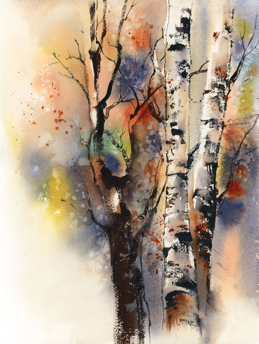 Birch Trees