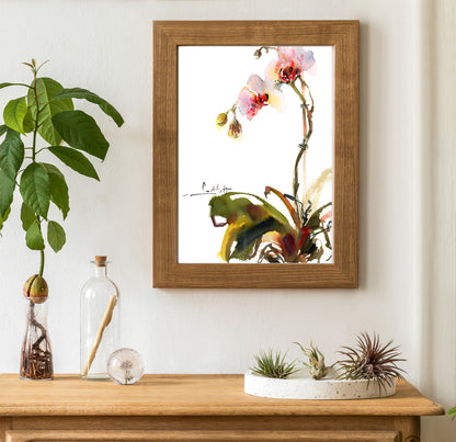 Whispers of Spring - Orchids