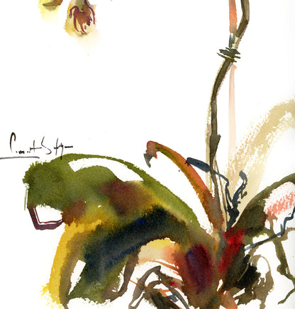 Whispers of Spring - Orchids