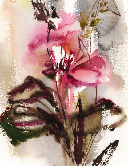 Listening to the Light