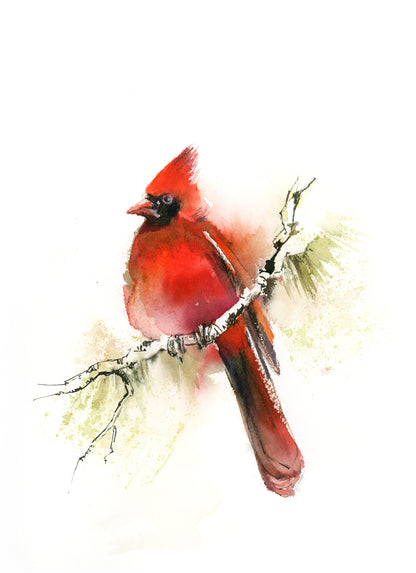 Cardinal Bird