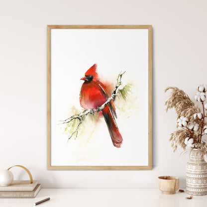 Cardinal Bird