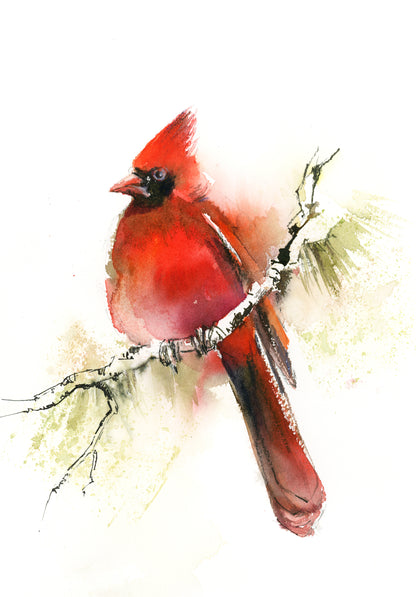 Cardinal Bird