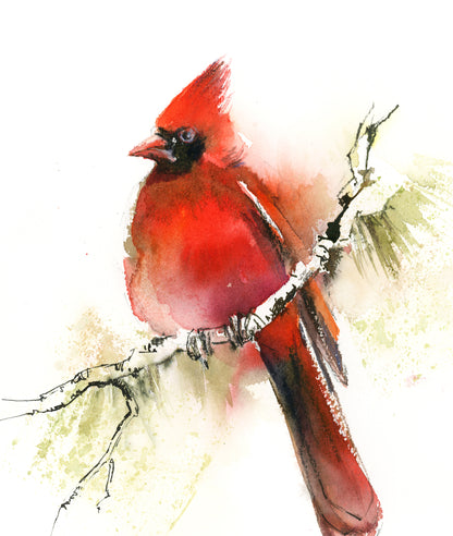 Cardinal Bird