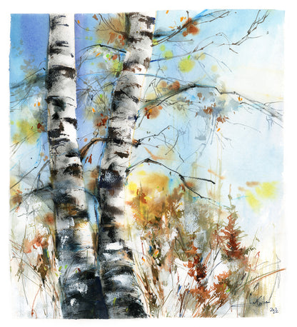 Birch Forest