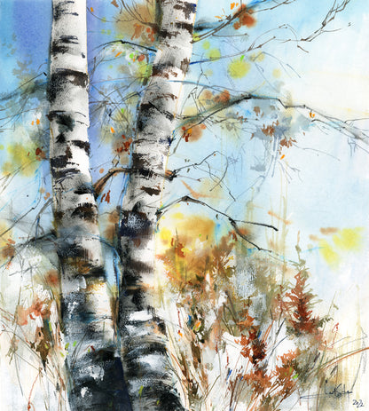 Birch Forest