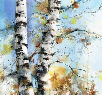 Birch Forest