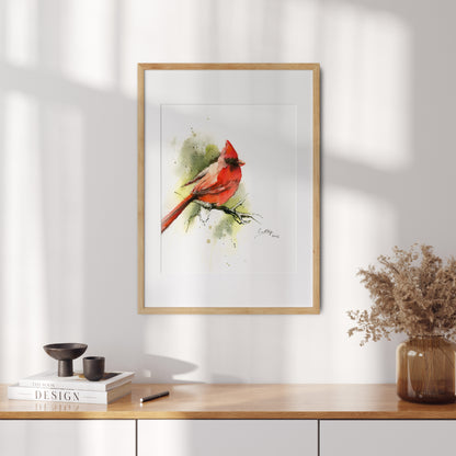 Northern Cardinal Bird