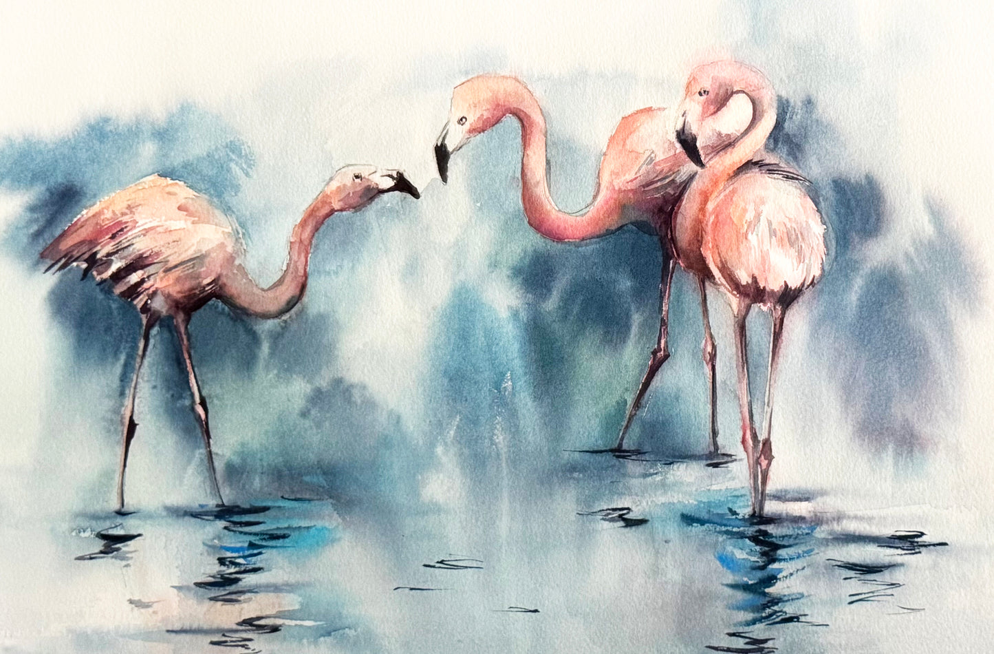 Flamingos Scene