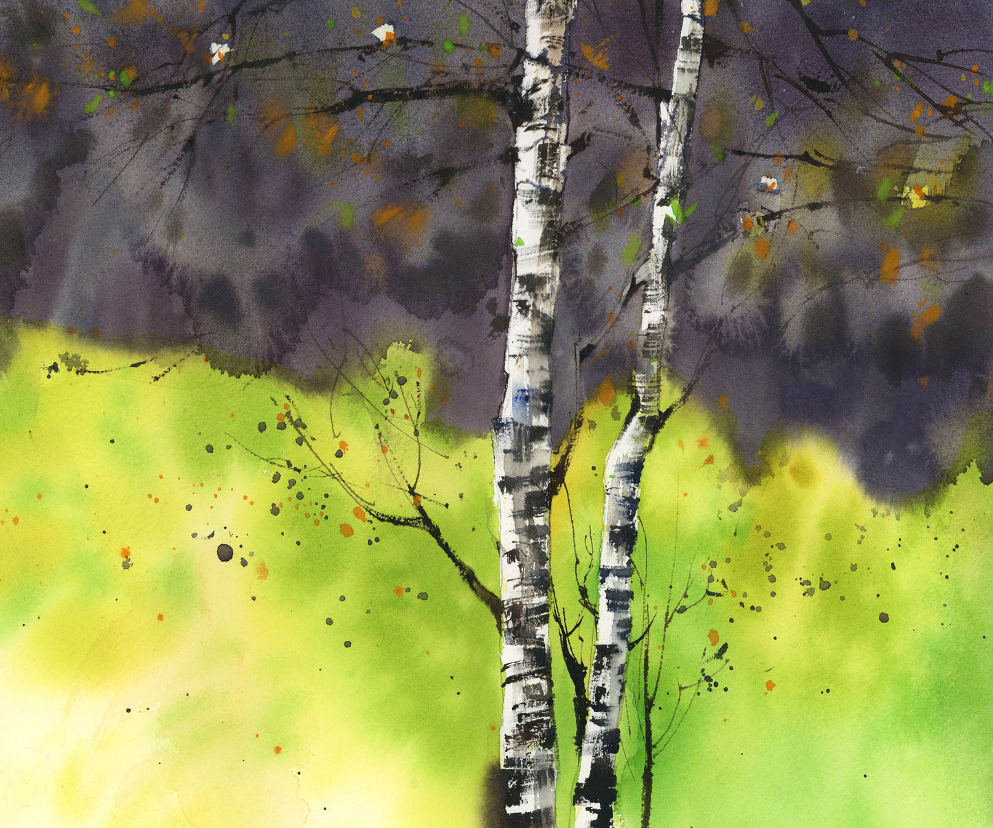 The Birch That Follows Me