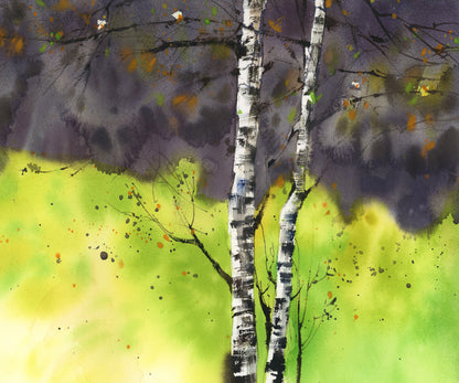 The Birch That Follows Me