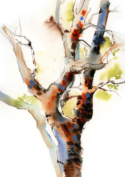 Colorful Trees 2 Art Prints Set, Tree Watercolor Painting, Set of 2 Fine Art Prints, Woodland Living Room Decor, Nature Watercolor Prints