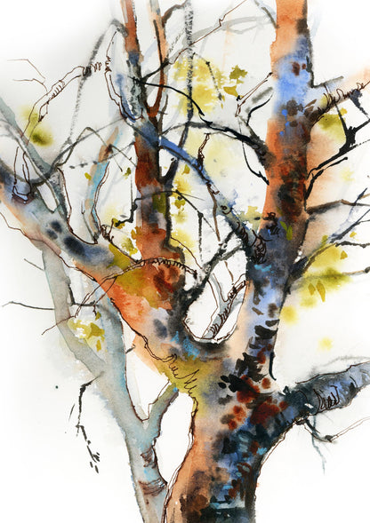 Colorful Trees 2 Art Prints Set, Tree Watercolor Painting, Set of 2 Fine Art Prints, Woodland Living Room Decor, Nature Watercolor Prints